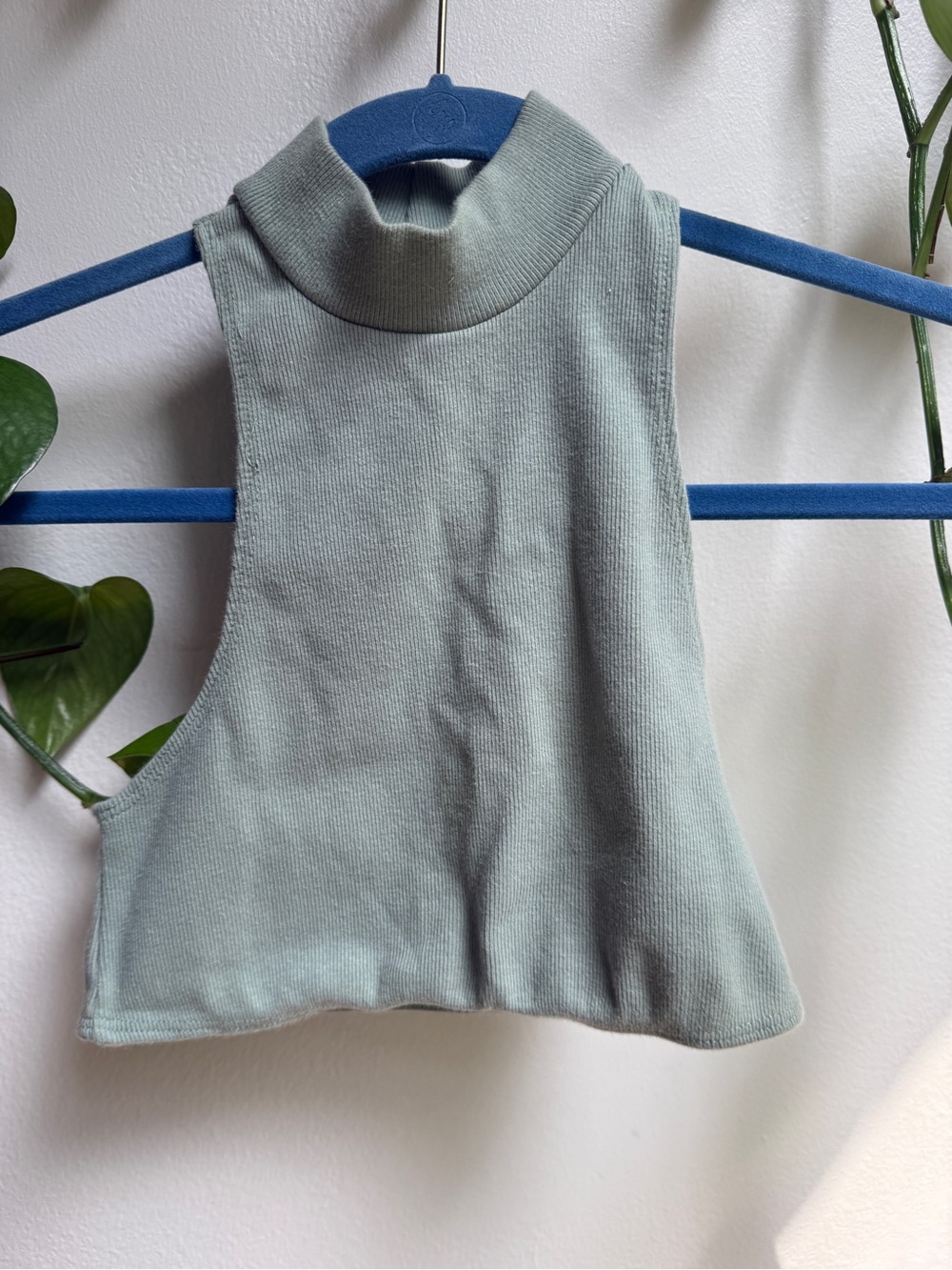 iNAMORATA Sleeveless Mock Neck Crop Top in Sage